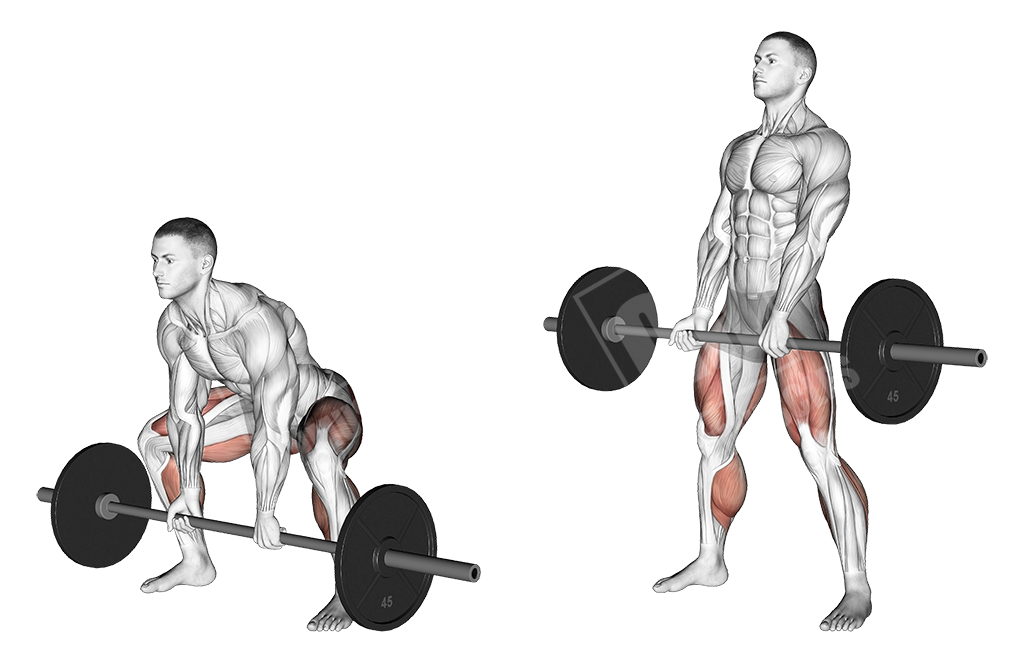 Становая тяга — техника и польза. базовое упражнение №1 для мышц!