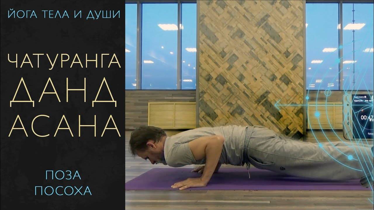 Дандасана поза посоха в йоге: техника выполнения и польза