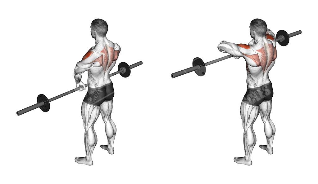 Правильный подъем штанги. Упражнения на дельтовидные мышцы со штангой. Протяжка со штангой стоя. Barbell Upright Row. Тяга штанги вверх стоя.