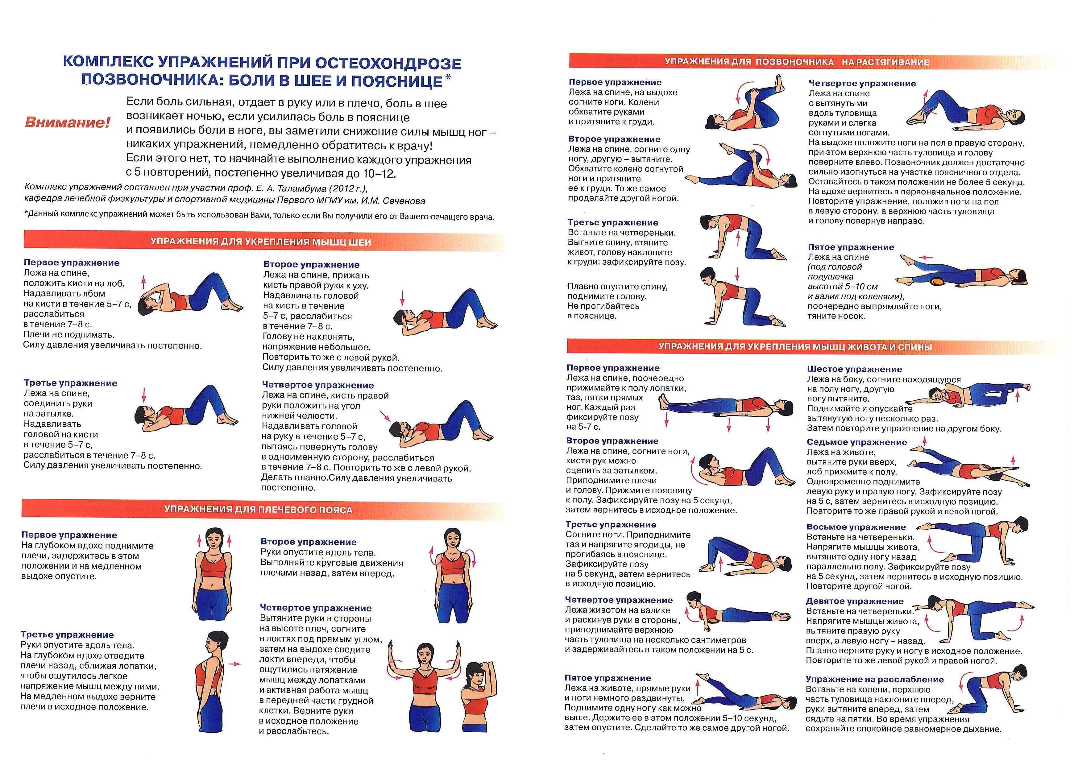 Болит спина? 3 упражнения для расслабления мышц. гимнастика для спины