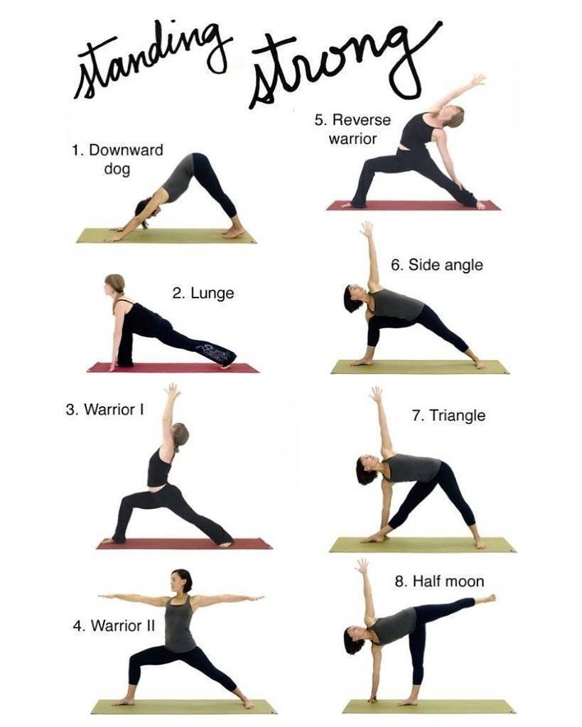 Асаны в йоге для начинающих: 10 безопасных и полезных асан в йоге на каждый день | courseburg