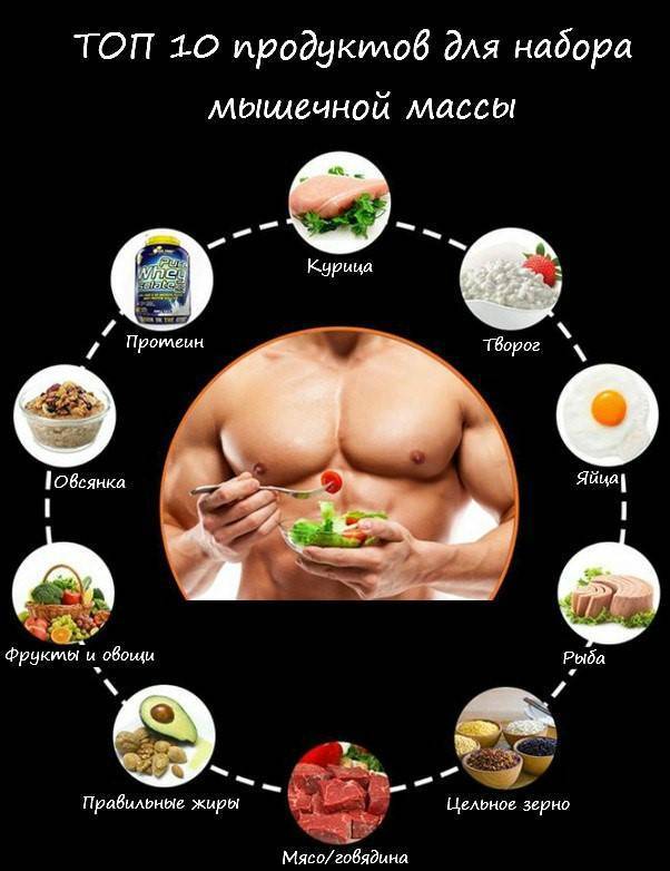 Рацион питания на массу от профессионалов: советы и рекомендации мужчинам о правильном питании
