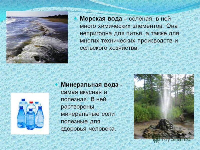 10 утверждений о пользе воды: правда или мифы | блог 4brain