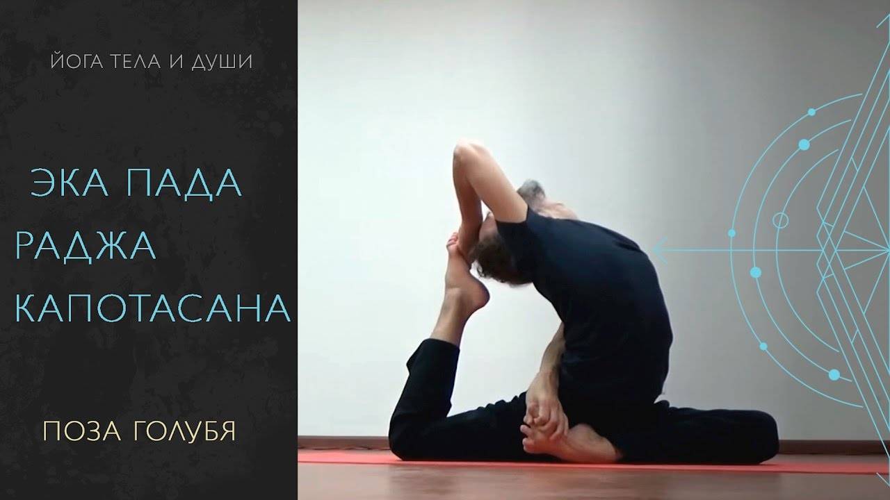 Поза голубя в йоге: техника выполнения для начинающих