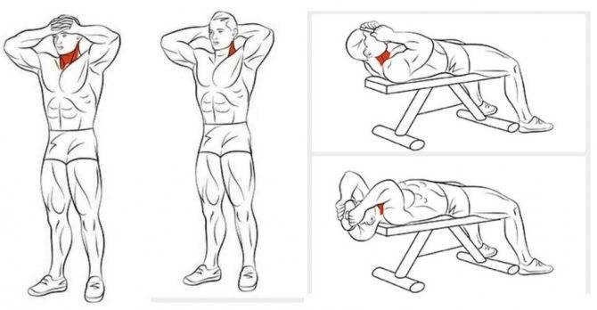 Легко! накачать мышцы шеи в домашних условиях: упражнения. — power-fit