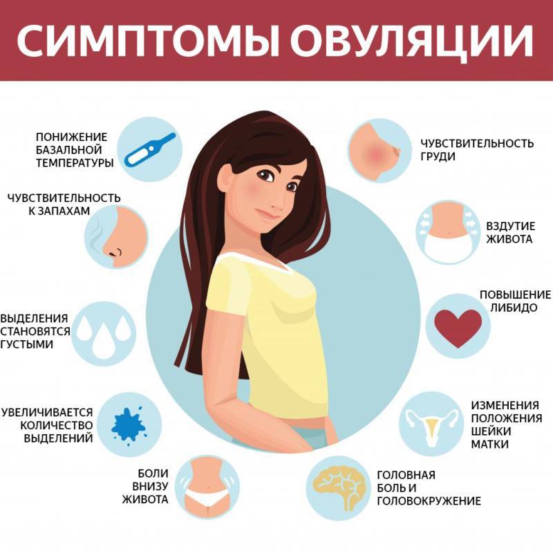 Предменструальный синдром и нарушения пищевого поведения » библиотека врача