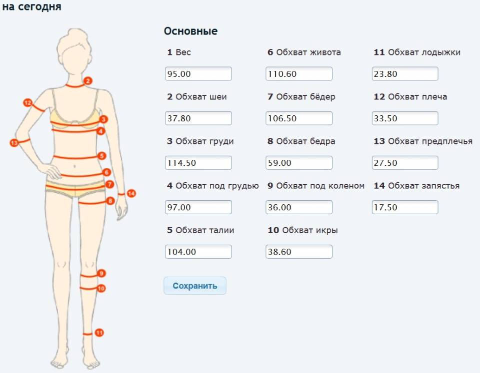 Антропометрия и пропорции тела в бодибилдинге 
антропометрия и пропорции тела в бодибилдинге