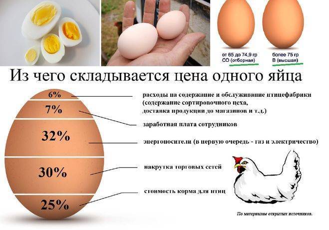 От чего зависит цвет яиц и желтка у курицы: разбираем все причины и особенности
от чего зависит цвет яиц и желтка у курицы: разбираем все причины и особенности