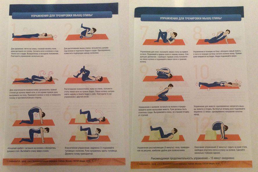 Упражнения для расслабления мышц спины: виды, комплексы