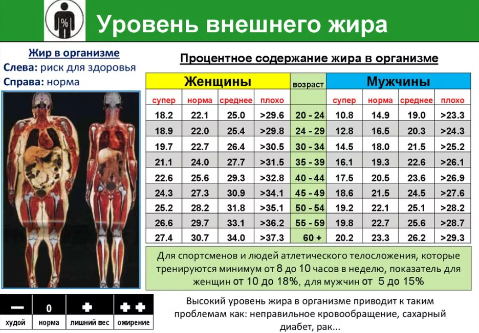 Как измерить процент жира в теле