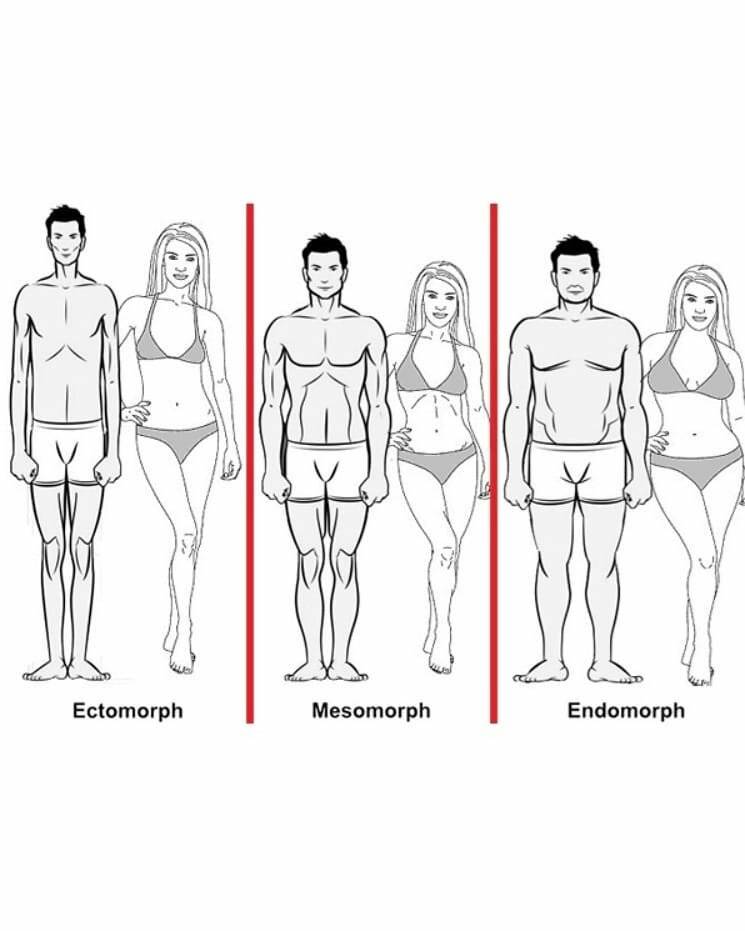 Мезоморфный тип телосложения — что нужно знать