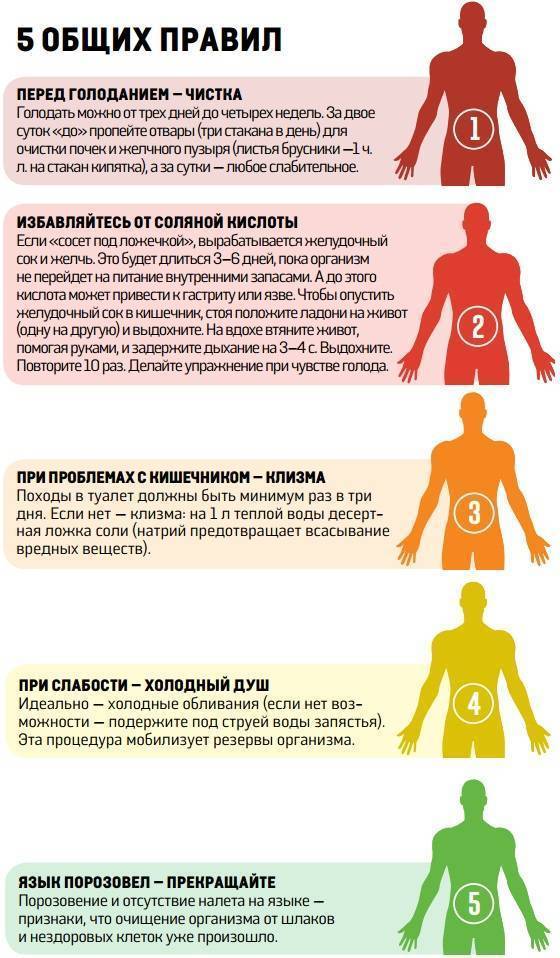 Однодневное голодание: как подготовиться и проводить, польза и вред, выход